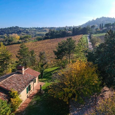 Il Vigneto Cottage Bertinoro Exteriér fotografie