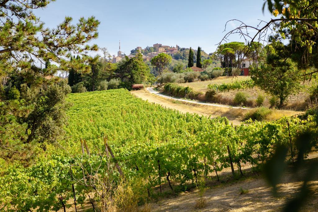 Il Vigneto Cottage Bertinoro Exteriér fotografie