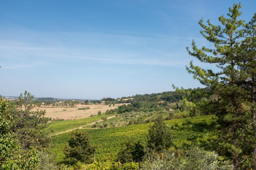 Il Vigneto Cottage Bertinoro Exteriér fotografie